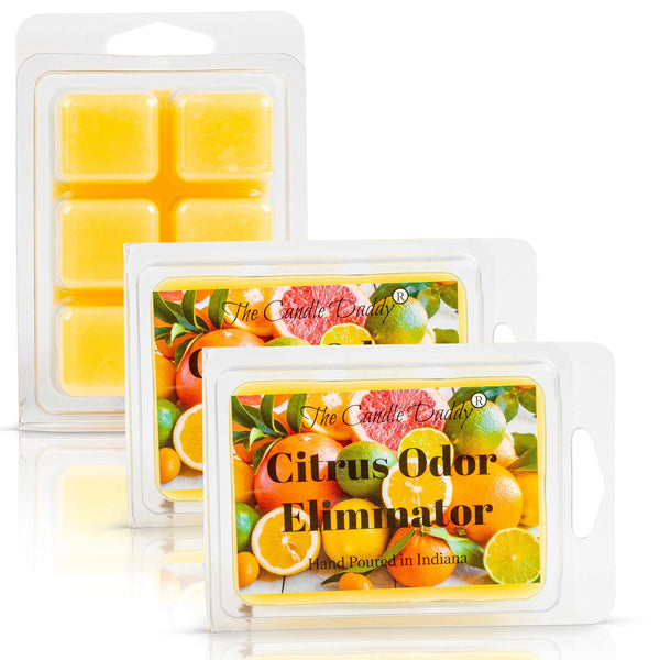 Citrus Odor Eliminator Scented Wax Melt - 1 Pack - 2 Ounces - 6 Cubes - The Candle Daddy