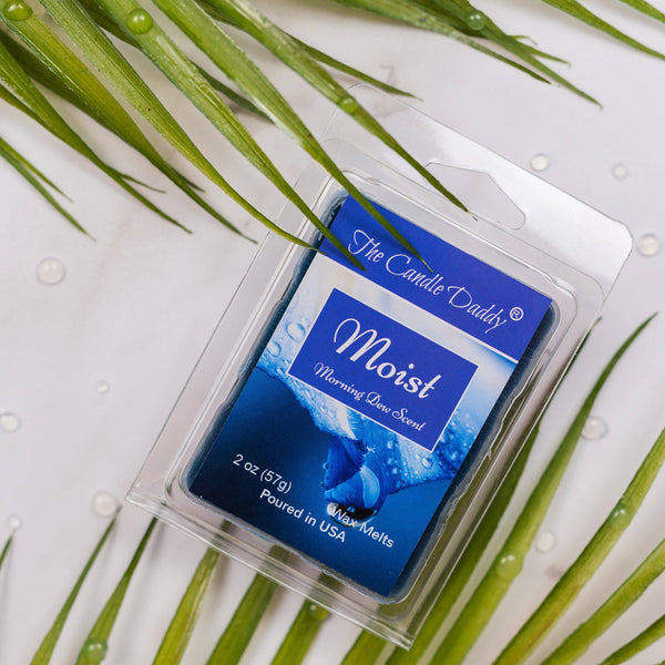 5 Pack - Moist - Morning Dew SCENTED MELT - 2 Ounces x 5 Packs = 10 Ounces - The Candle Daddy