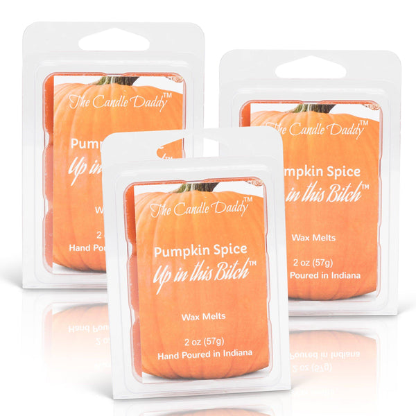 Pumpkin Spice Up In This Bitch - Pumpkin Spice Scented Wax Melt - 1 Pack - 2 Ounces - 6 Cubes - The Candle Daddy