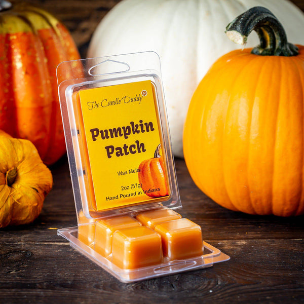Pumpkin Patch - Pumpkin Scented Wax Melt Cubes - 1 Pack - 2 Ounces - 6 Cubes - The Candle Daddy