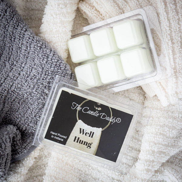 5 Pack - Well Hung - Fresh Linen Scented Wax Melt Cubes - 2 Oz x 5 Packs = 10 Ounces - The Candle Daddy