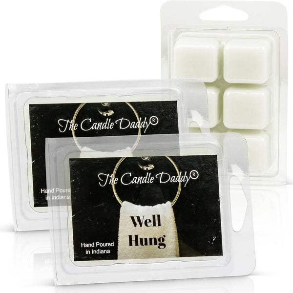 Well Hung - Fresh Linen Scented Wax Melt - 1 Pack - 2 Ounces - 6 Cubes - The Candle Daddy