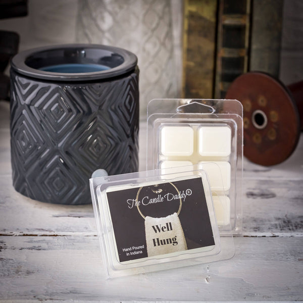 Well Hung - Fresh Linen Scented Wax Melt - 1 Pack - 2 Ounces - 6 Cubes - The Candle Daddy
