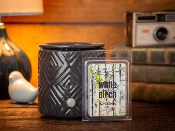 White Birch - Paper Birch Tree Scent Maximum Scent Wax Cubes/Melts- 1 Pack -2 Ounces- 6 Cubes - The Candle Daddy