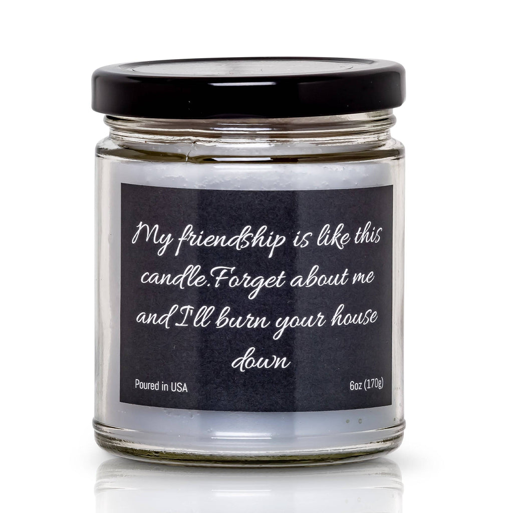 My friendship is like this candle.  Forget about me and I'll burn your house down- 6 oz- 40 hour burn time -Snickerdoodle Scent - The Candle Daddy