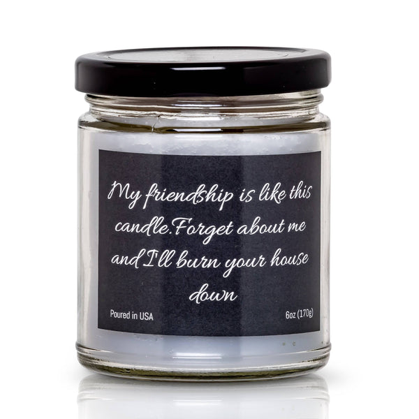 FREE SHIPPING - My friendship is like this candle.  Forget about me and I'll burn your house down- 6 oz- 40 hour burn time -Snickerdoodle Scent