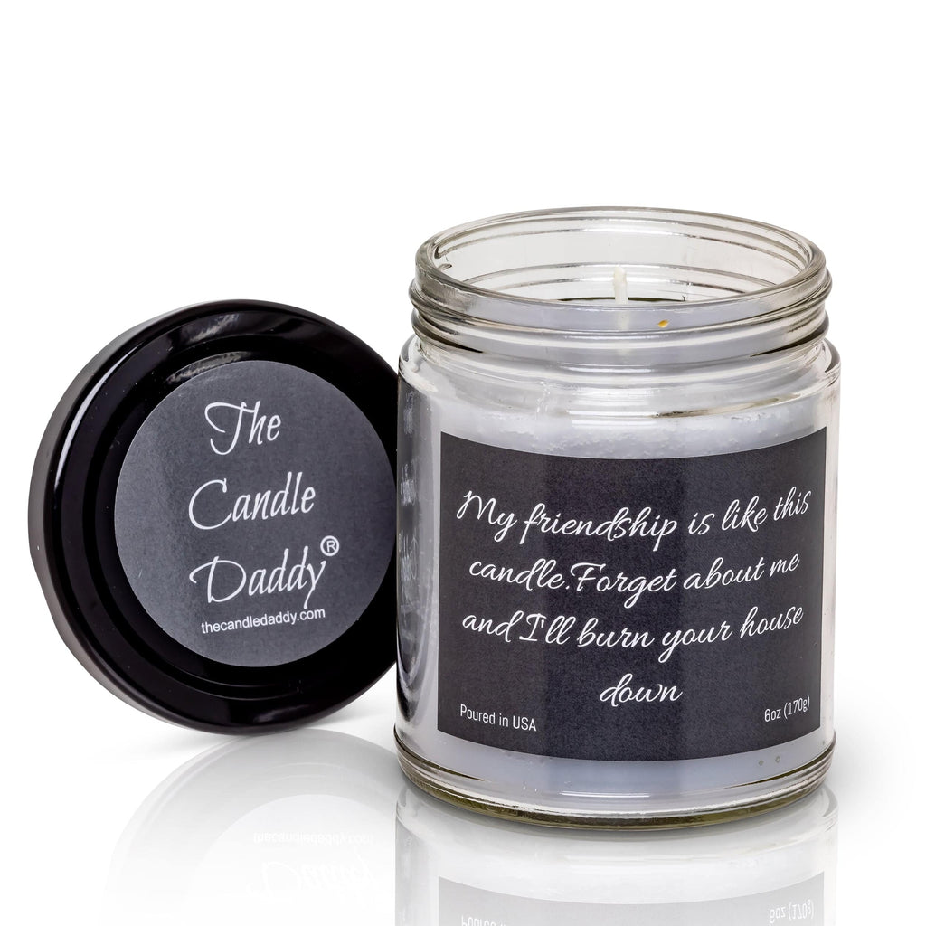 My friendship is like this candle.  Forget about me and I'll burn your house down- 6 oz- 40 hour burn time -Snickerdoodle Scent - The Candle Daddy