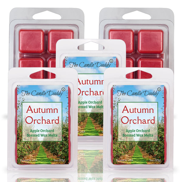 FREE SHIPPING - Autumn Orchard - Crisp Fall Autumn Apple Orchard Scented Wax Melt - 1 Pack - 2 Ounces - 6 Cubes