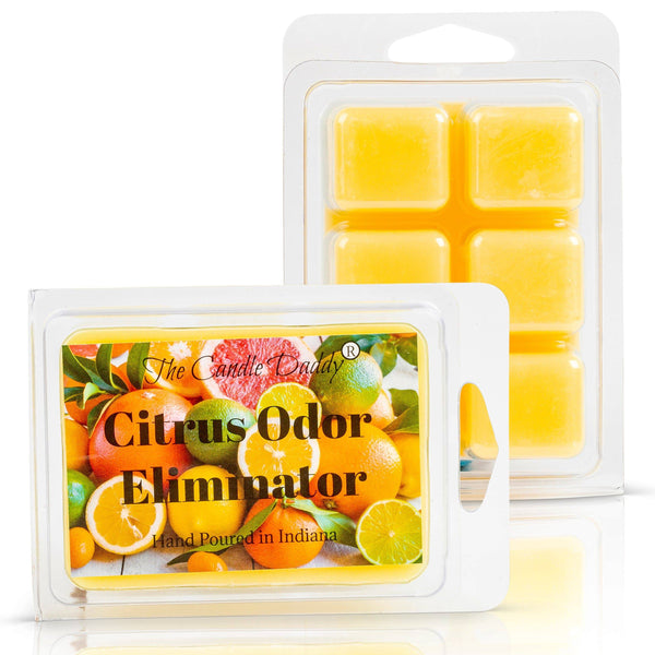 Citrus Odor Eliminator Scented Wax Melt - 1 Pack - 2 Ounces - 6 Cubes - The Candle Daddy