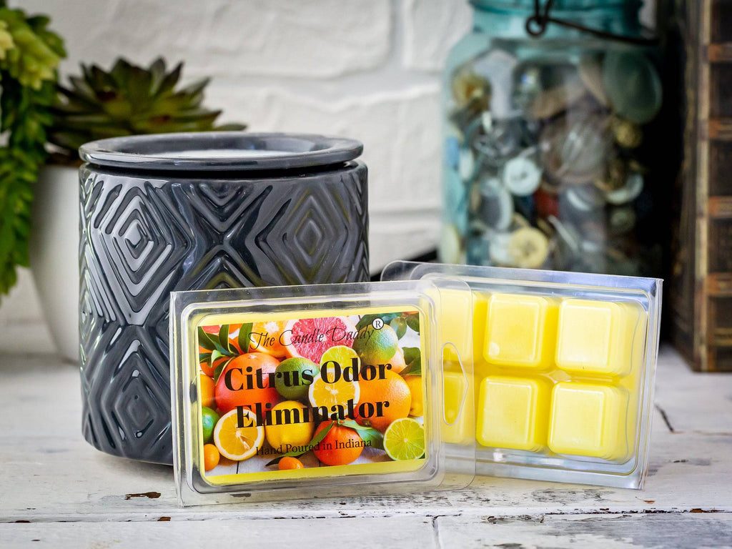 Citrus Odor Eliminator Scented Wax Melt - 1 Pack - 2 Ounces - 6 Cubes - The Candle Daddy