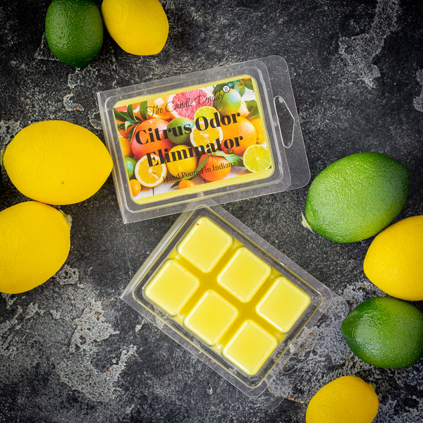Citrus Odor Eliminator Scented Wax Melt - 1 Pack - 2 Ounces - 6 Cubes - The Candle Daddy