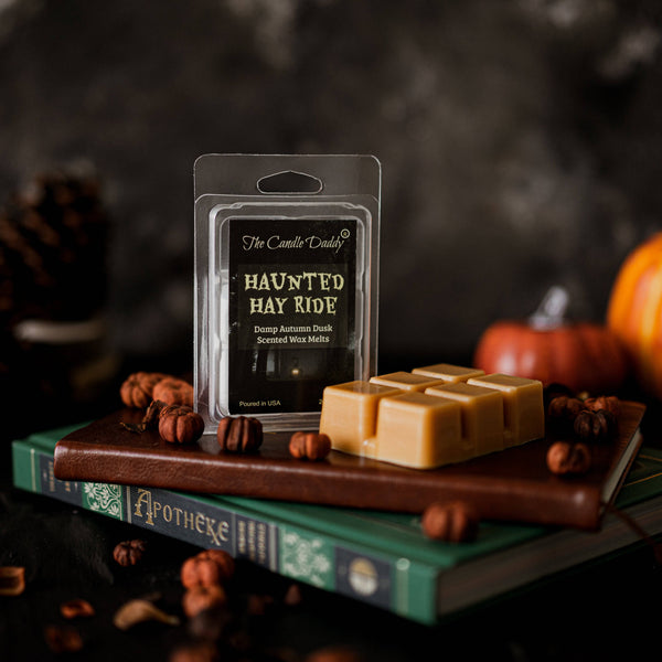 Haunted Hay Ride - Damp Autumn Dusk Halloween Scented Wax Melt - 1 Pack - 2 Ounces - 6 Cubes - The Candle Daddy