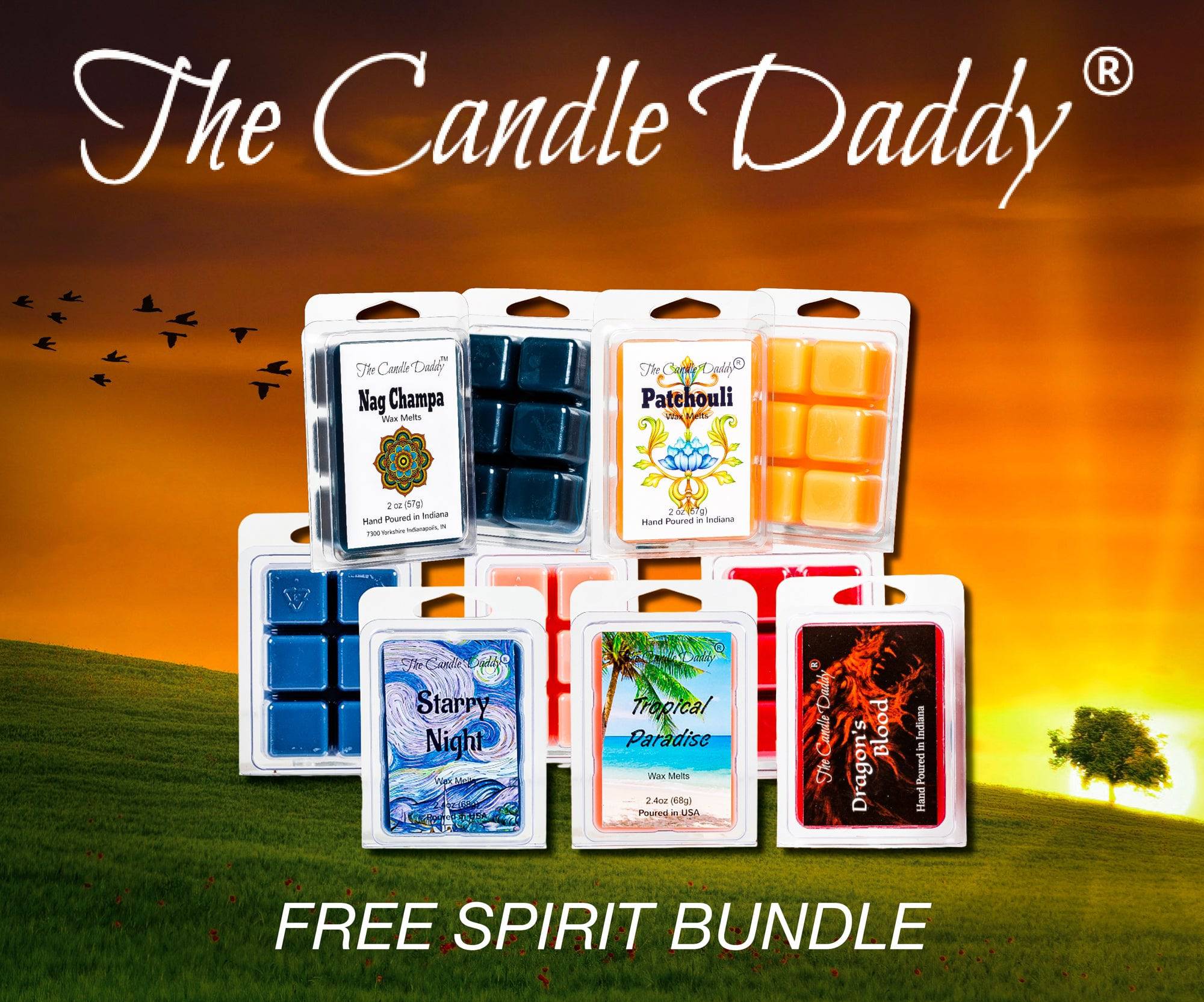 Free Spirit Bundle Combo Set Of Five Scented Wax Melt Cubes - Nag Champa,  Patchouli, Starry Night, Tropical Paradise, Dragon's Blood