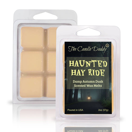 Haunted Hay Ride - Damp Autumn Dusk Halloween Scented Wax Melt - 1 Pack - 2 Ounces - 6 Cubes - Blowout