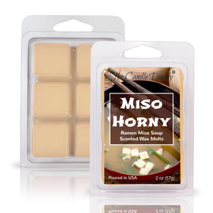 Miso Horny - Ramen Miso Soup Scented Wax Melt - 1 Pack - 2 Ounces - 6 Cubes - The Candle Daddy