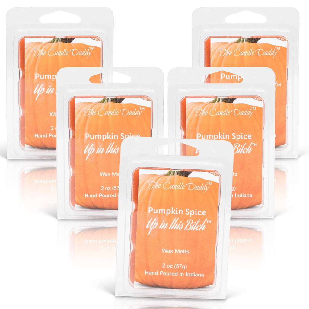 Pumpkin Spice Up In This Bitch - Pumpkin Spice Scented Wax Melt - 1 Pack - 2 Ounces - 6 Cubes - The Candle Daddy