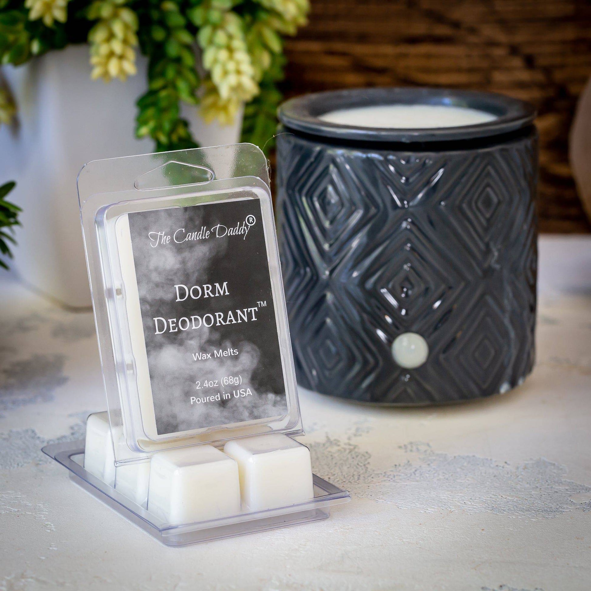 Dorm Deodorant - Enzyme-Infused Odor Eliminator Wax Melt - 1 Pack - 2 Ounces - 6 Cubes - The Candle Daddy