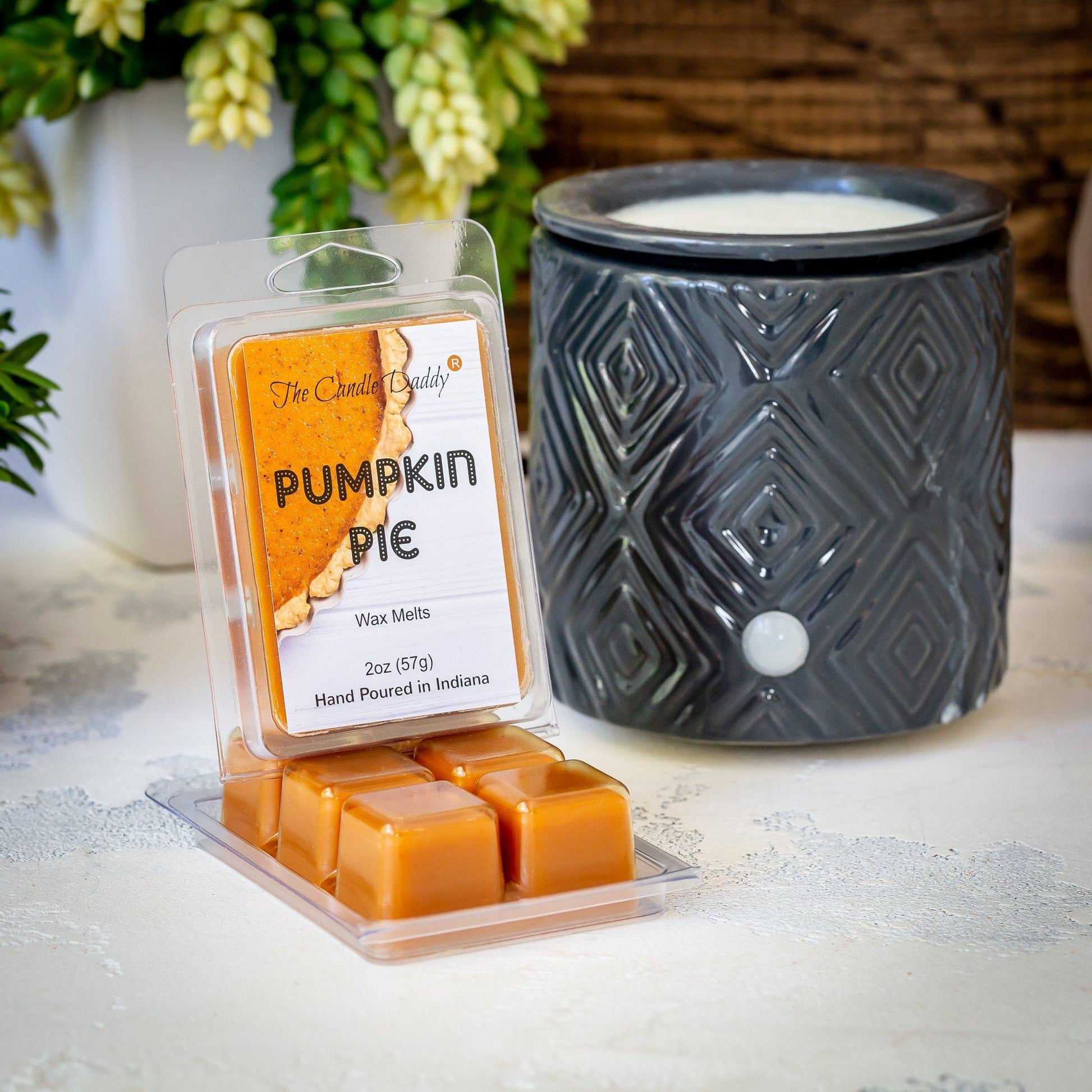 Pumpkin Pie Scented Wax Melt - 1 Pack - 2 Ounces - 6 Cubes - The Candle Daddy