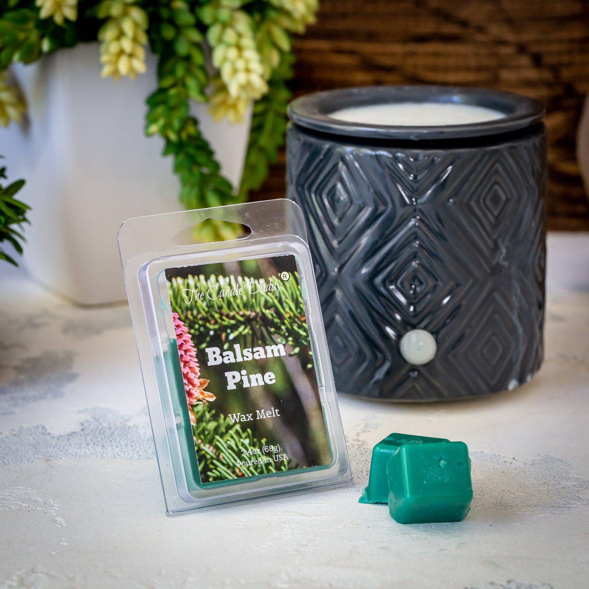 christmas tree money wax melt Balsam Pine - Fresh Pine Christmas Tree Scented Wax Melt - 1 Pack - 2 Ounces - 6 Cubes