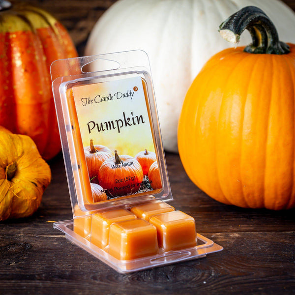 Pumpkin Scented Wax Melt - 1 Pack - 2 Ounces - 6 Cubes - The Candle Daddy