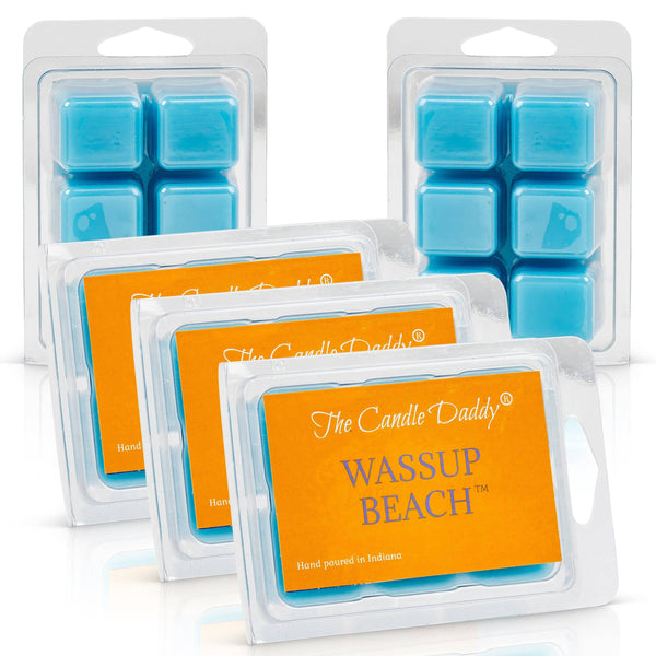 Wassup Beach- Tropical Ocean Scented Melt- Maximum Scent Wax Cubes/Melts- 1 Pack - 2 Ounces- 6 Cubes - The Candle Daddy