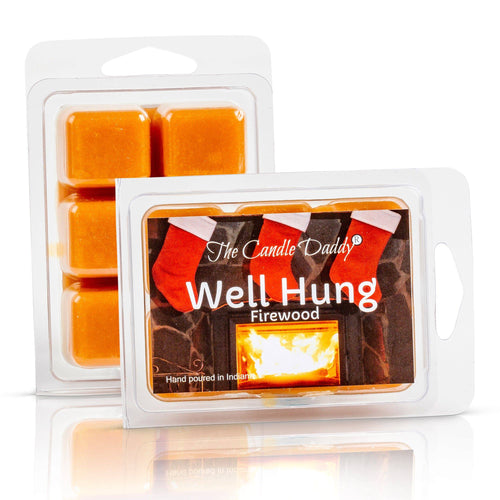 Well Hung - Fireplace Scented Wax Melt Cubes - 1 Pack - 2 Ounces - 6 Cubes - Blowout