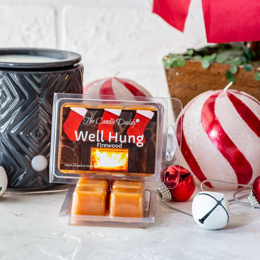 5 Pack - Well Hung - Fireplace Scented Wax Melt Cubes - 2 Ounces x 5 Packs = 10 Ounces - The Candle Daddy