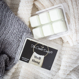 Well Hung - Fresh Linen Scented Wax Melt - 1 Pack - 2 Ounces - 6 Cubes - The Candle Daddy
