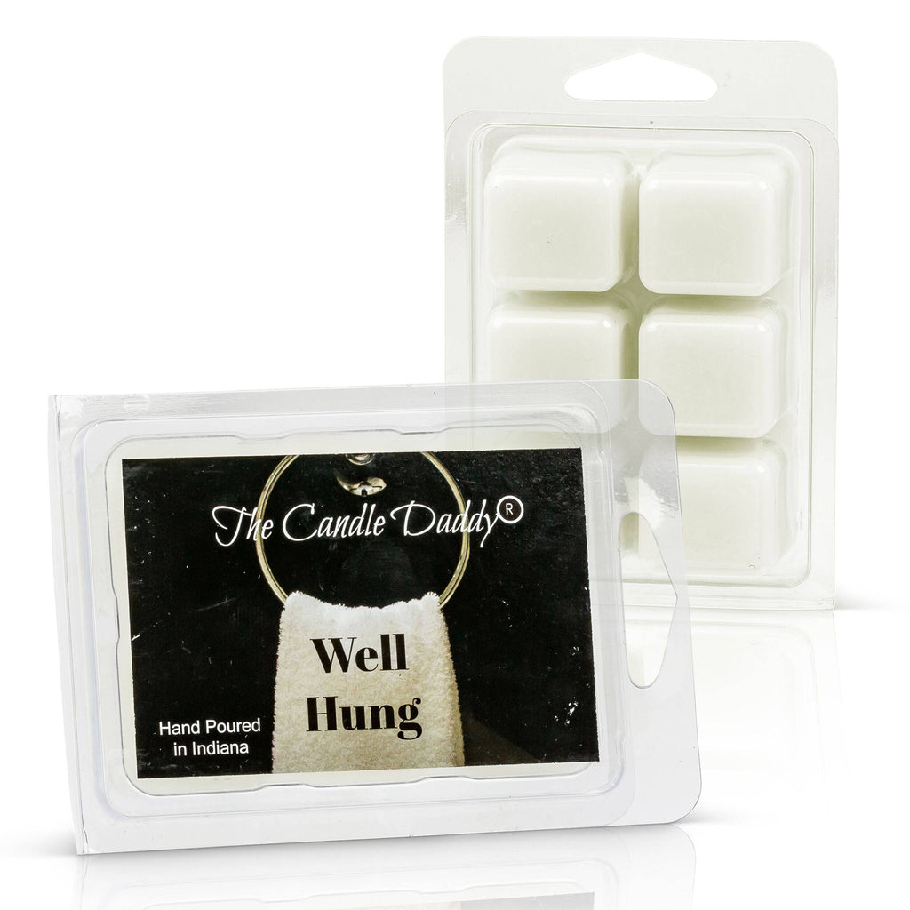 Well Hung - Fresh Linen Scented Wax Melt - 1 Pack - 2 Ounces - 6 Cubes - The Candle Daddy