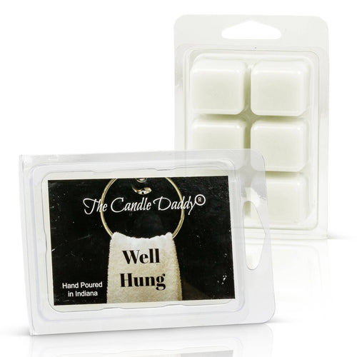 Well Hung - Fresh Linen Scented Wax Melt - 1 Pack - 2 Ounces - 6 Cubes - Blowout