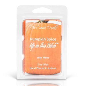 Pumpkin Spice Up In This Bitch - Pumpkin Spice Scented Wax Melt - 1 Pack - 2 Ounces - 6 Cubes - The Candle Daddy